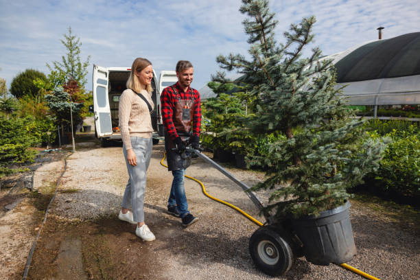 Best Stump Grinding and Removal  in Lavalette, WV